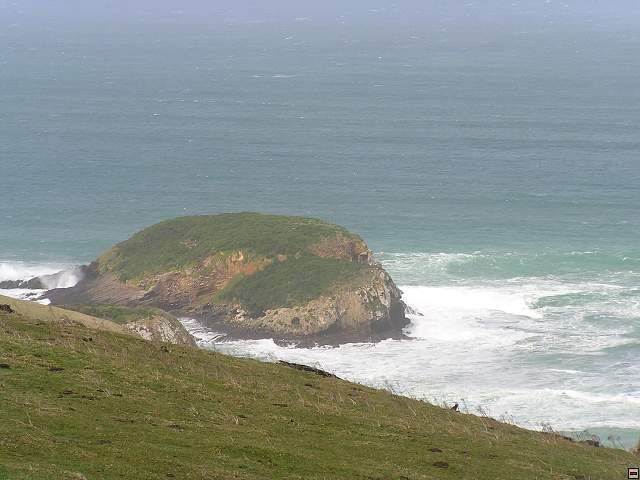 The Catlins Coast 007.jpg